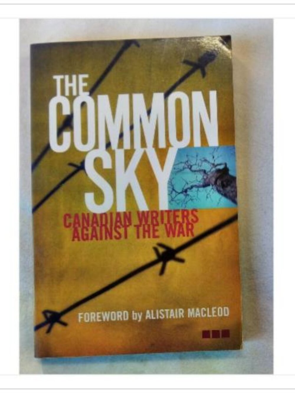 The Common Sky: Canadian Writers Against the War 2003 Paperback Book Vintage